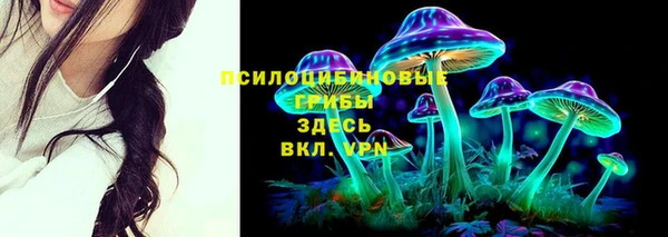 винт Арсеньев