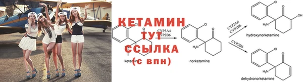 гашик Аркадак