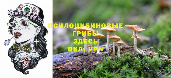 гашик Аркадак