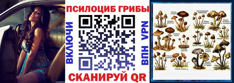 Галлюциногенные грибы прущие грибы  гидра как войти  Бокситогорск 