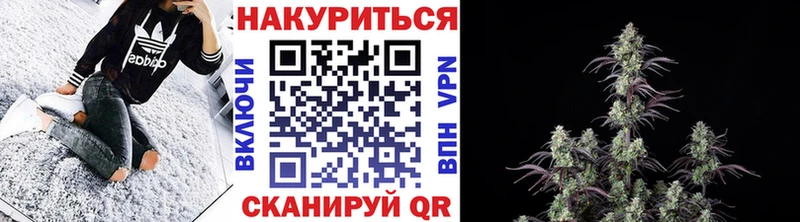 Конопля планчик  купить   ссылка на мегу маркетплейс  Бокситогорск 